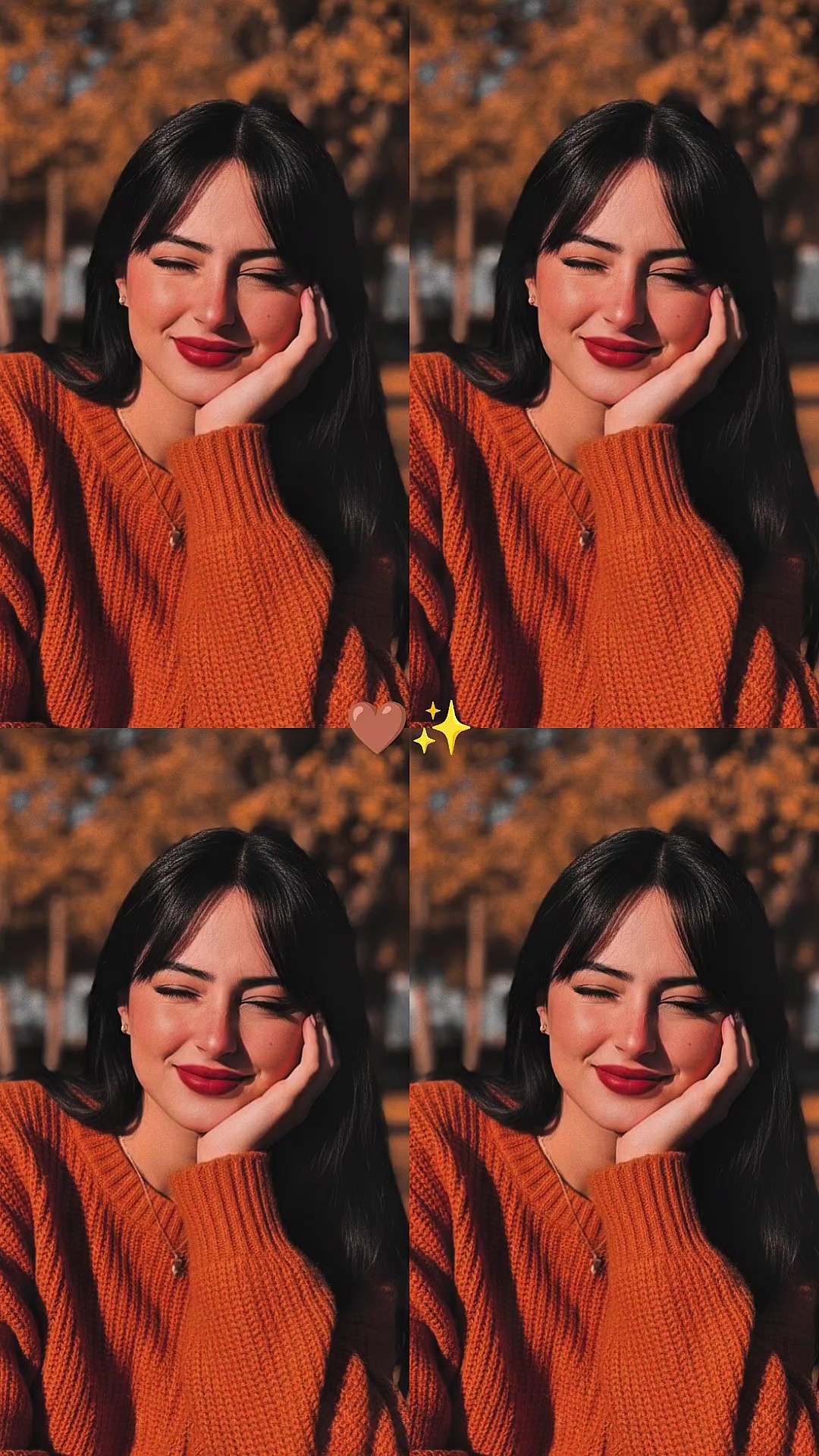 Şablonunuz