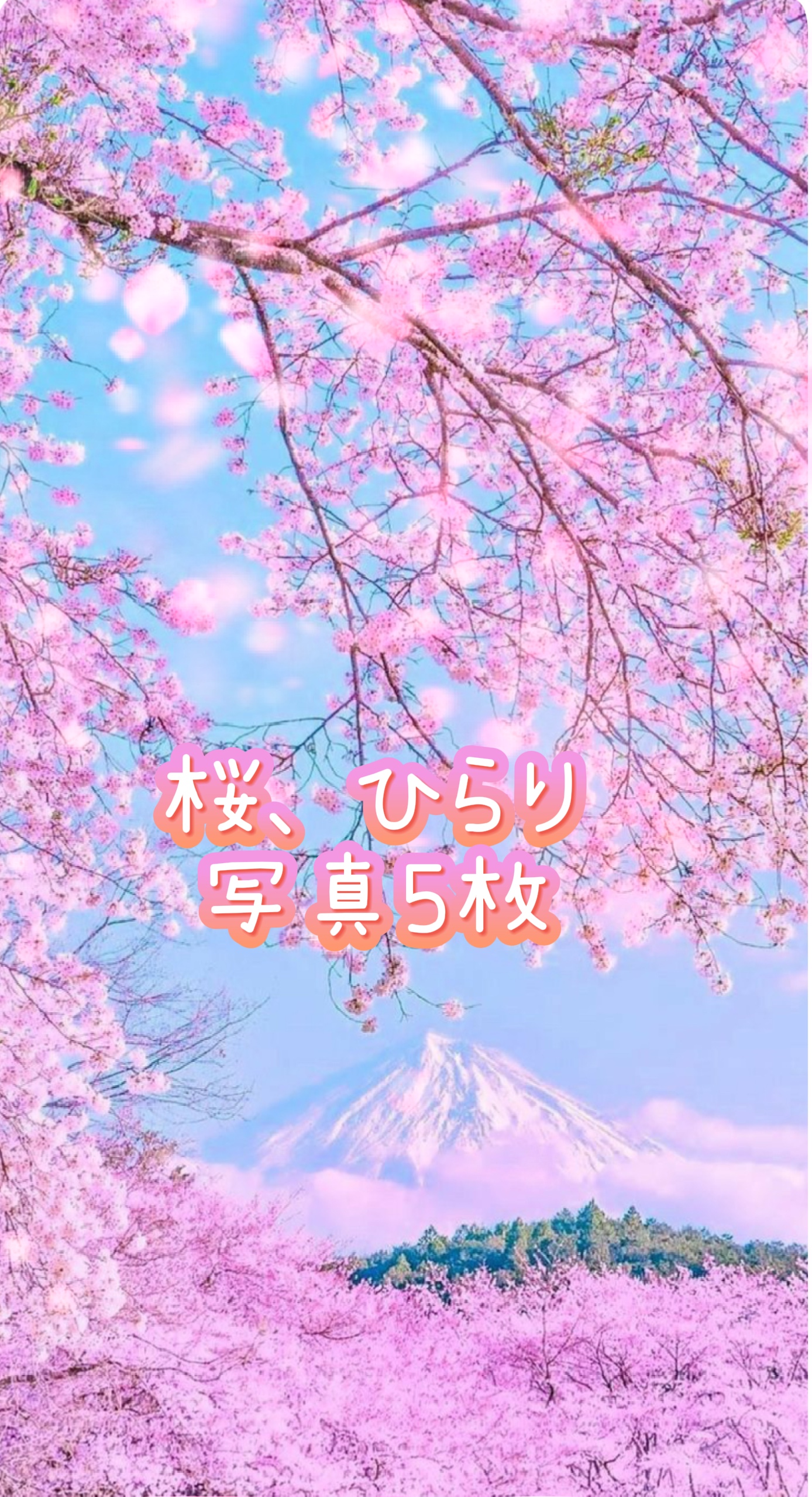 桜、ひらり／写真5枚