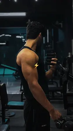 Gym filter 