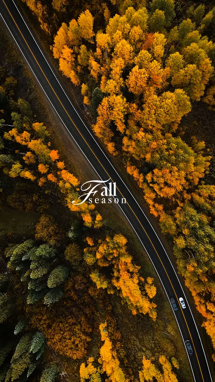 Fall season 