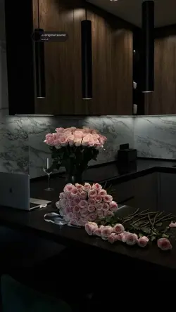 aesthetics
