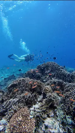 ocean