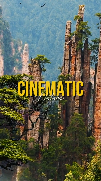CINEMATIC NATURE