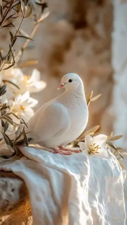 Domenica delle Palme