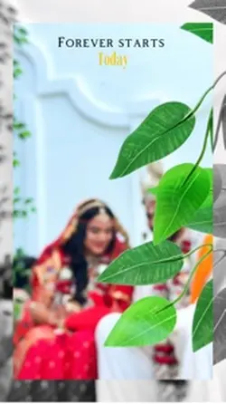 Groom and bride wedd