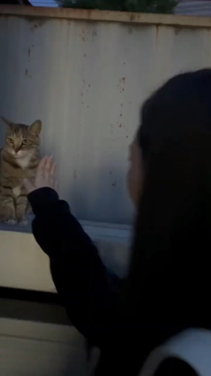 1คลิป5รูป:(