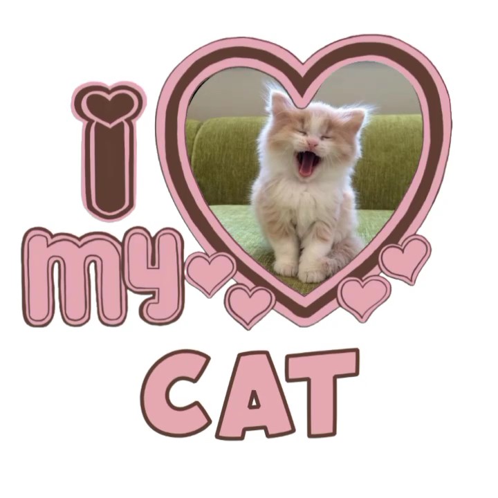 Amo a mi gato