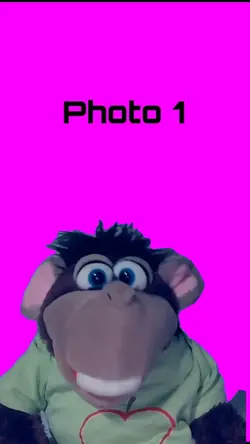 HässlichWieDieNacht