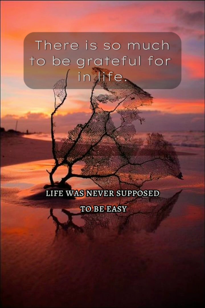 Things to be gratefu