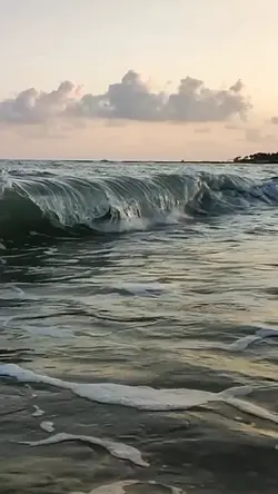 mentahan video 