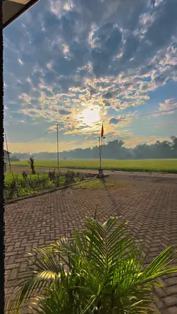 4K HD FILTER JERNIH