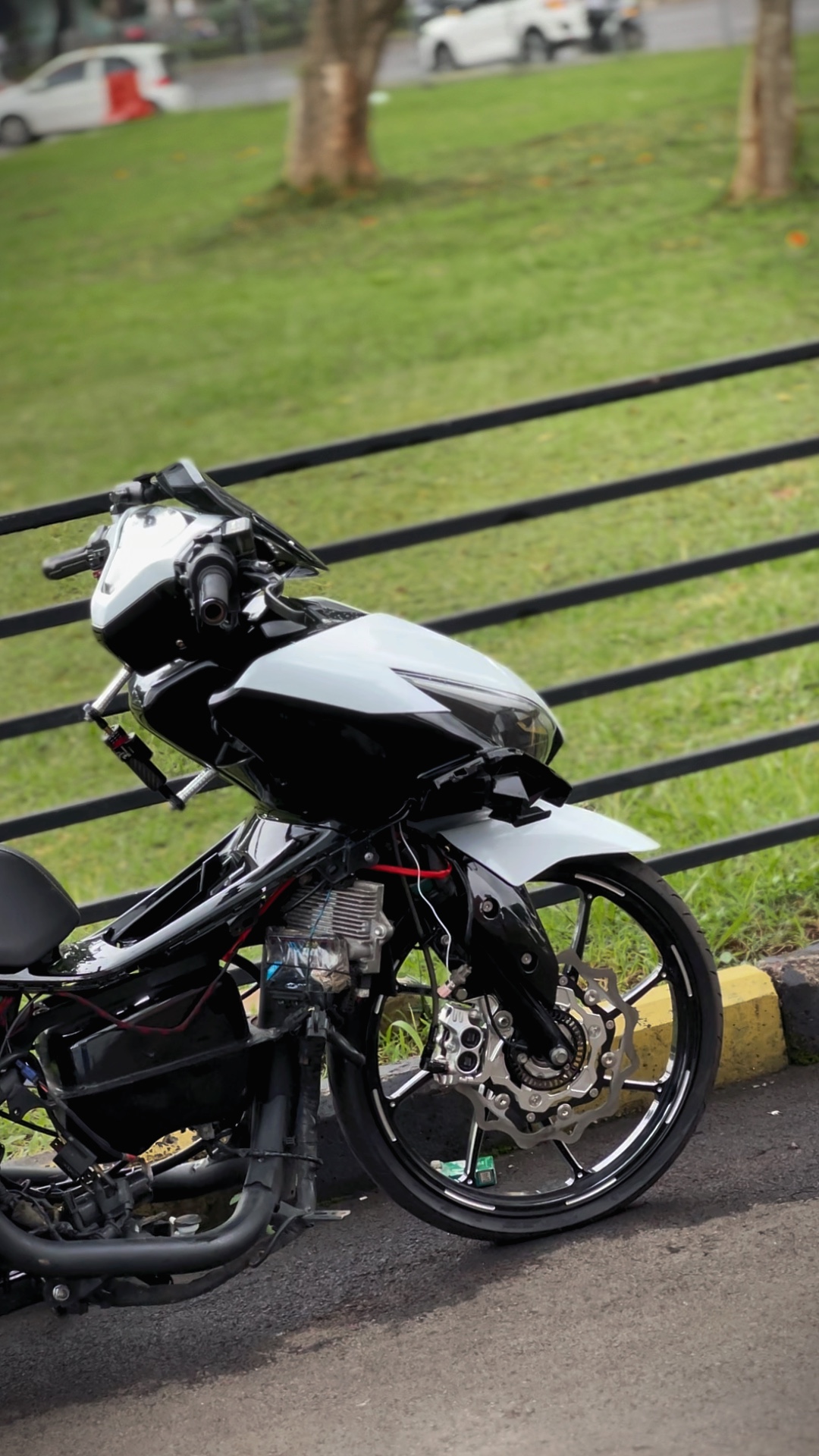 Cover Picture