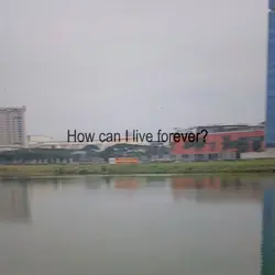 I Don't Know