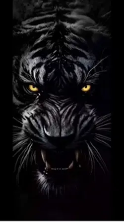 Black lion