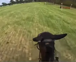 Cross country