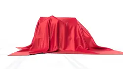 veil of mystery ²⁸