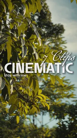 Stay With Me 