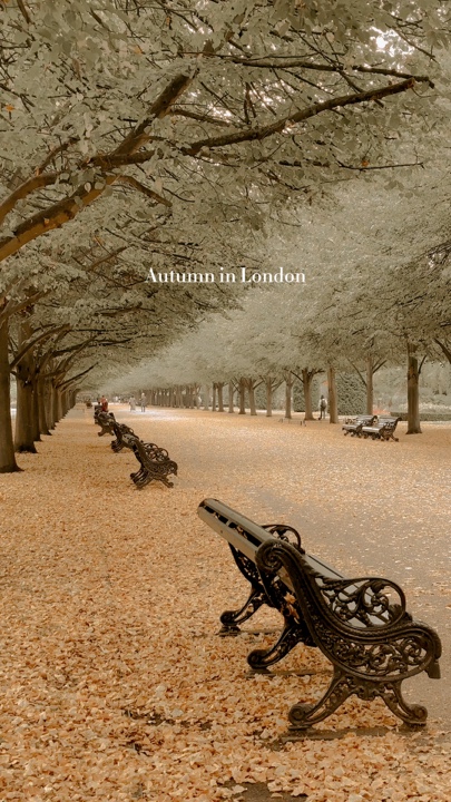 Autumn in London