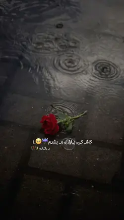 👀🤍کاشکی باران میشدم