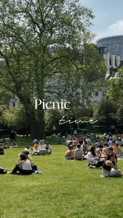picnic time