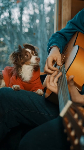 Momentos con perro