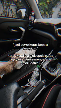 VERSI NO MIRROR
