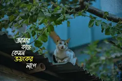 “পরিচয়ের চেয়ে হারিয়ে