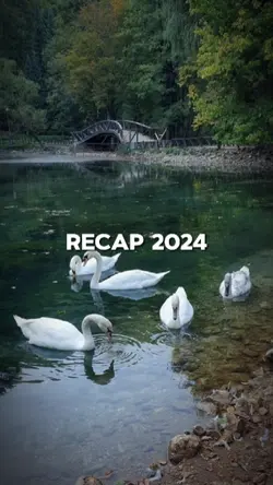 MẪU RECAP 2024