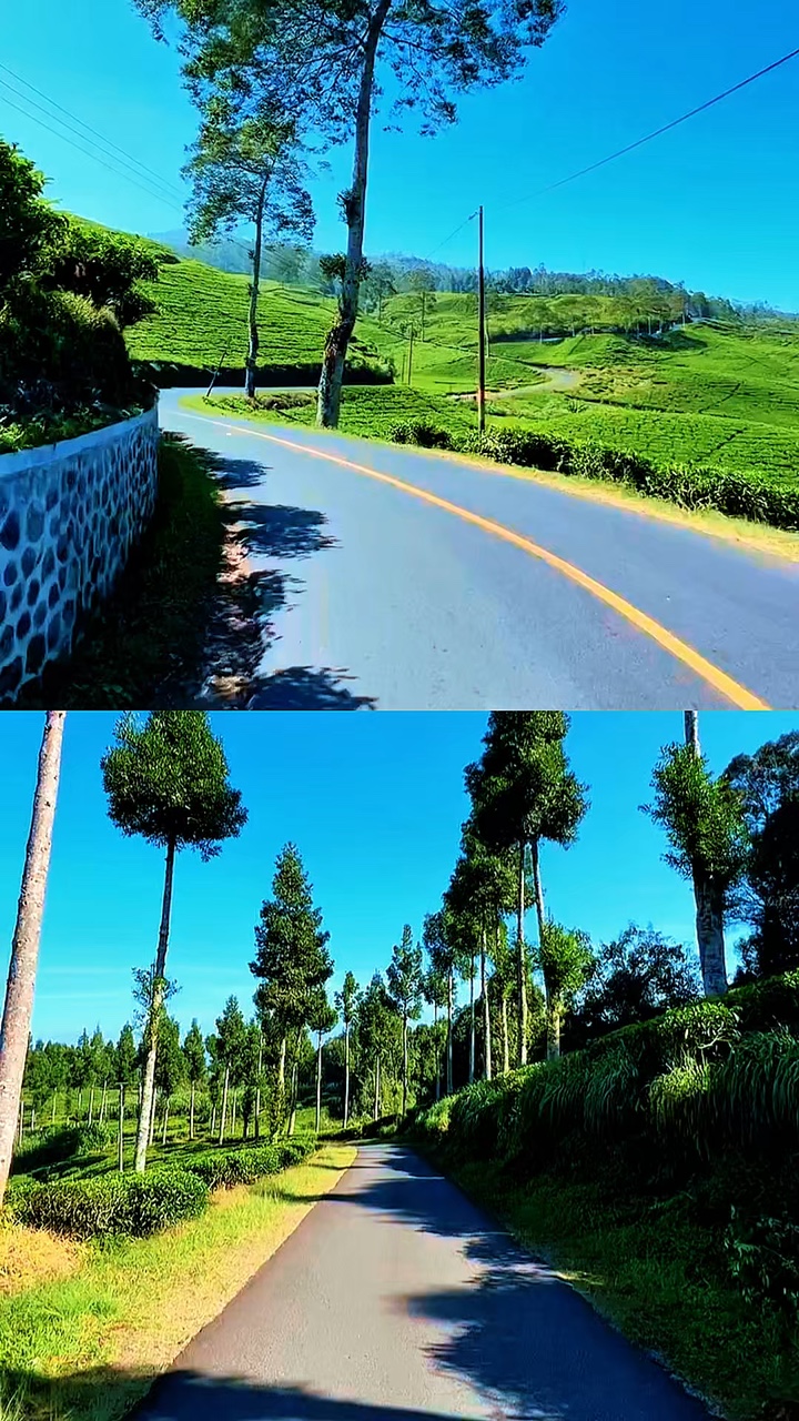 2 vidéo 1 image