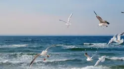 God Give You One Min