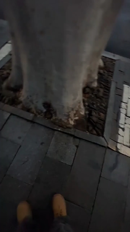 ￫ ￫