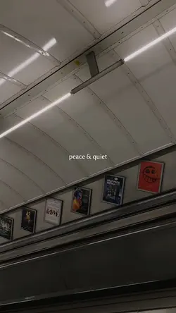 Peace & Quiet 