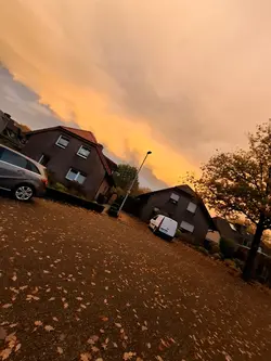 pov Freunde