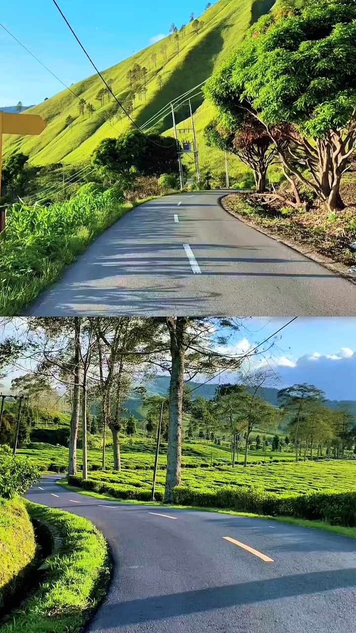 2 collages vidéo