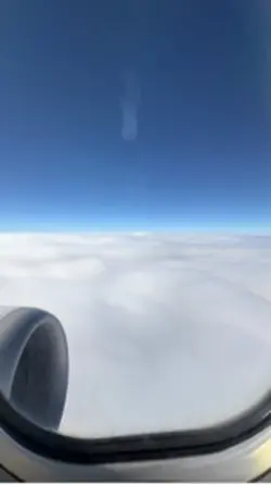 Flight 