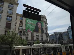 tez zielonej szkoły 
