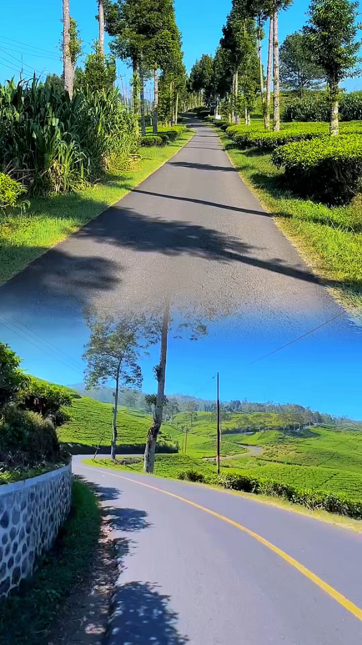 road trip 