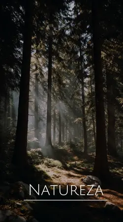 Detalhes Natureza