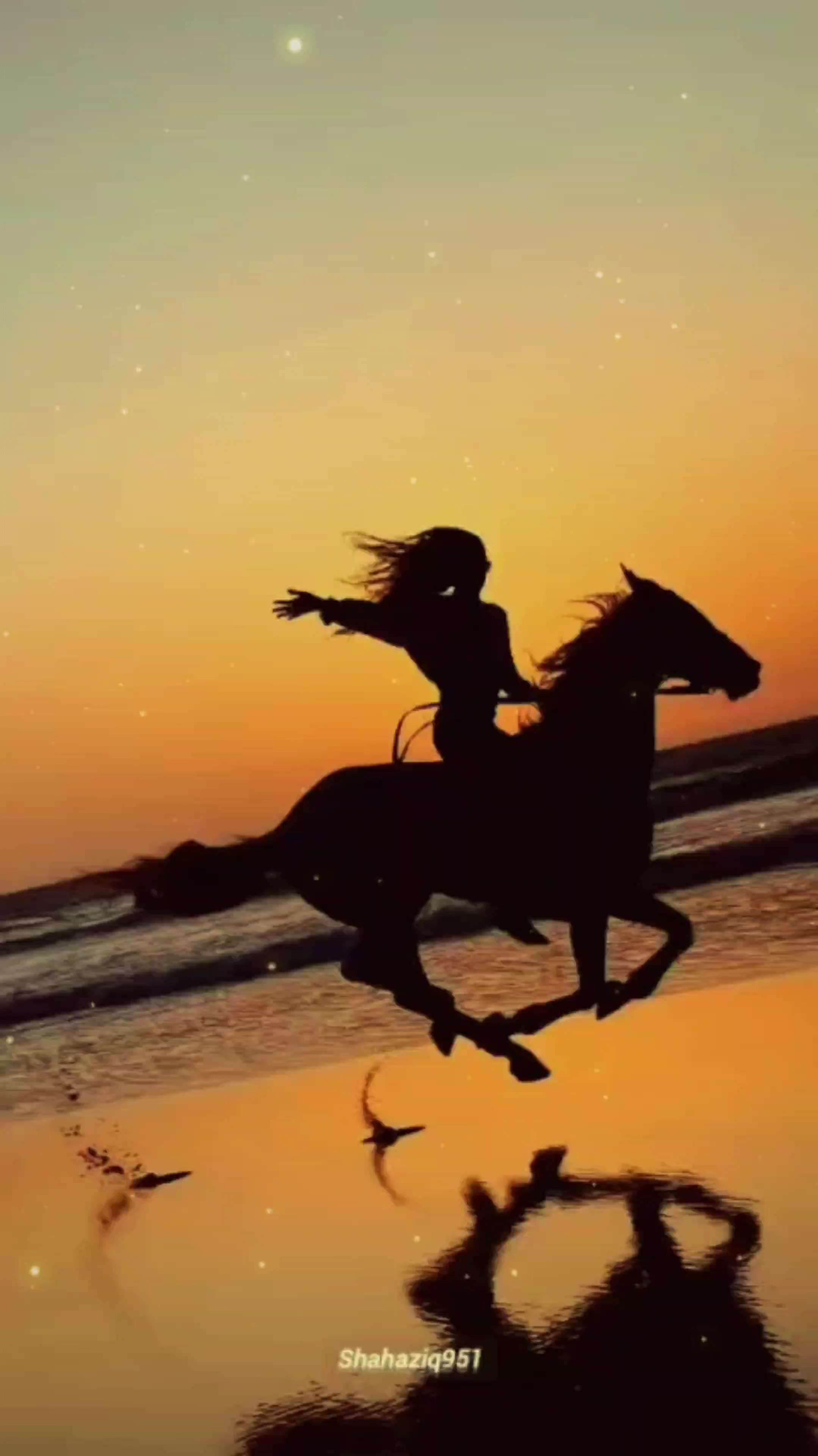 Kuda hitam lirik