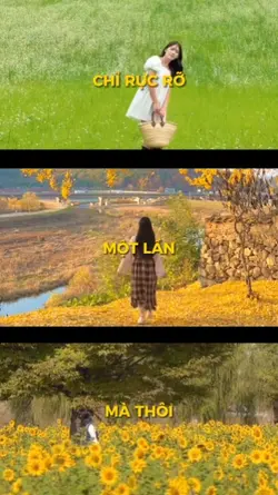 MẪU DU LỊCH