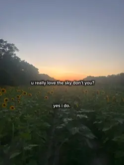 sunsets