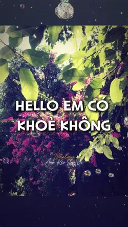 2 ảnh nhẹ nhàng