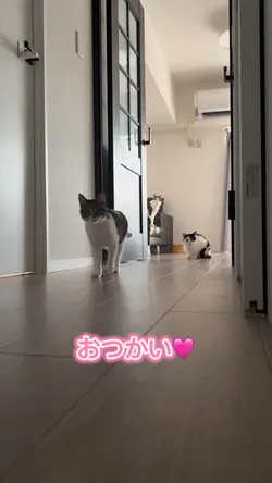 おつかい♪おつかい♪