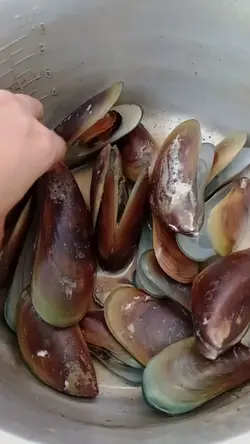 Cooking vlog