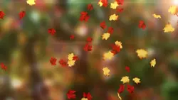 Whispering leaves!

