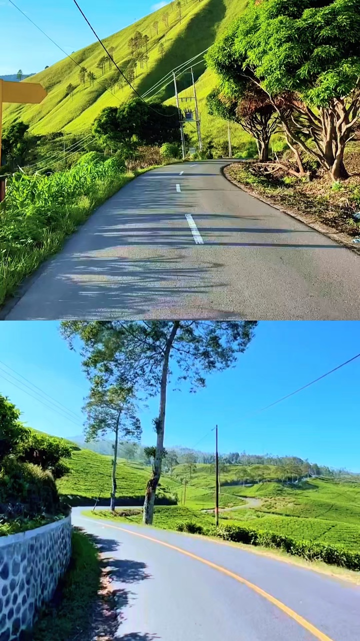 2 video collage