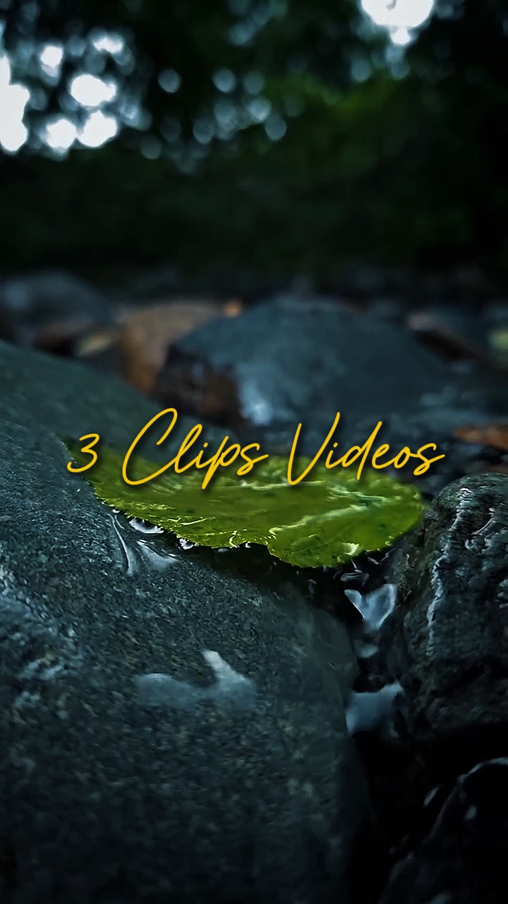 Cinemática 3 Videos