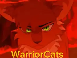 WarriorCats clip