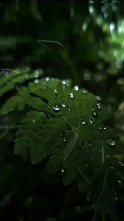 Nature moments