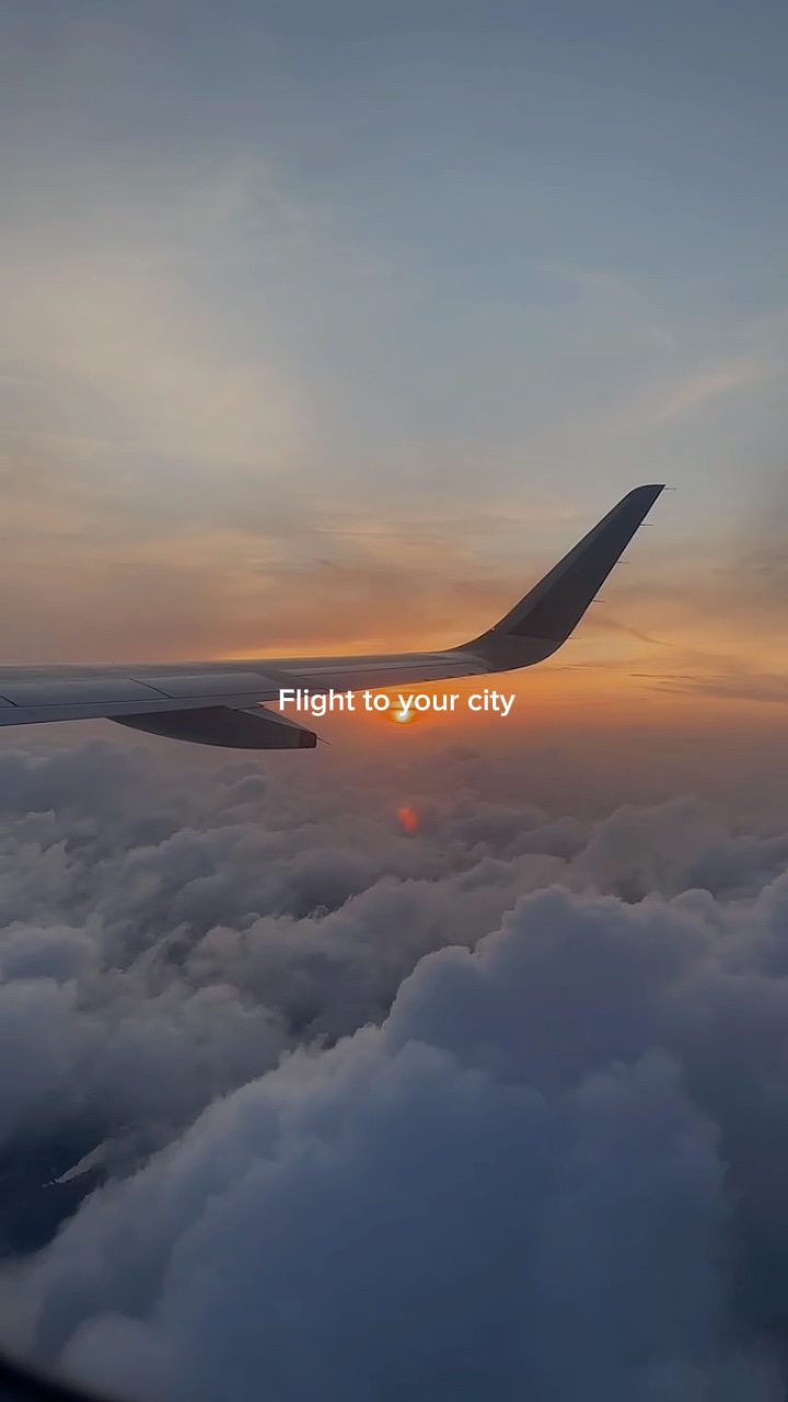 Flight to your cit